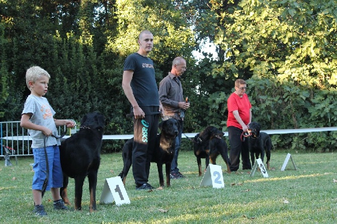 Des Gardiens D'anaflore - Journée Beauceronne - Pierrelatte (26) - 20/09/2015